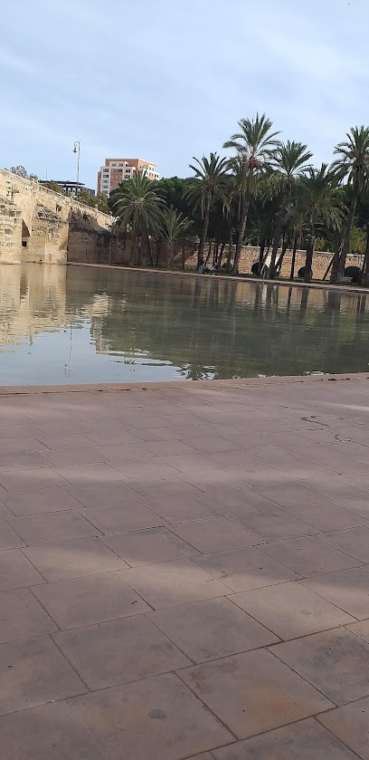 notaría Registro de Bienes Muebles de Valencia