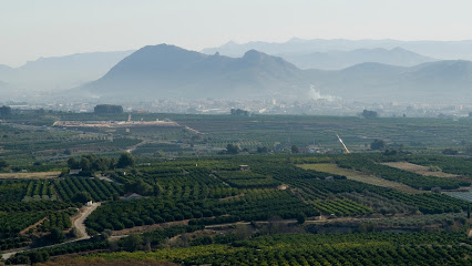 notaría Notaría de Albaida – Joaquín Sapena Gotor