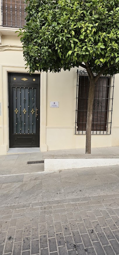 notaría Notaría Carcabuey Ana Fernández Palacios
