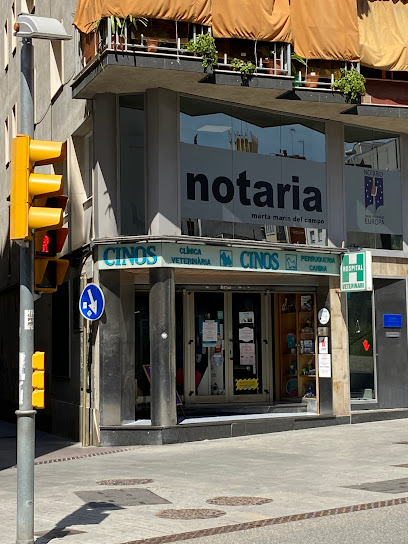 notaría Notaría Marta Marín del Campo
